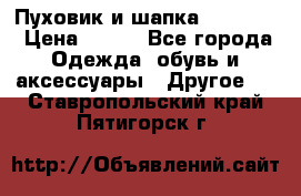 Пуховик и шапка  Adidas  › Цена ­ 100 - Все города Одежда, обувь и аксессуары » Другое   . Ставропольский край,Пятигорск г.